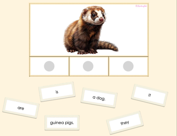 'It is' vs. 'They are' sentence making cards with Pets vocab