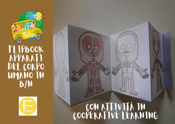 FLIPBOOK: GLI APPARATI DEL CORPO UMANO