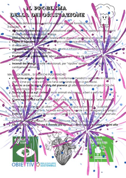Deforestazione - scienze seconda e terza - approfondimento