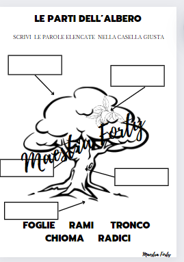 Le parti dell'albero