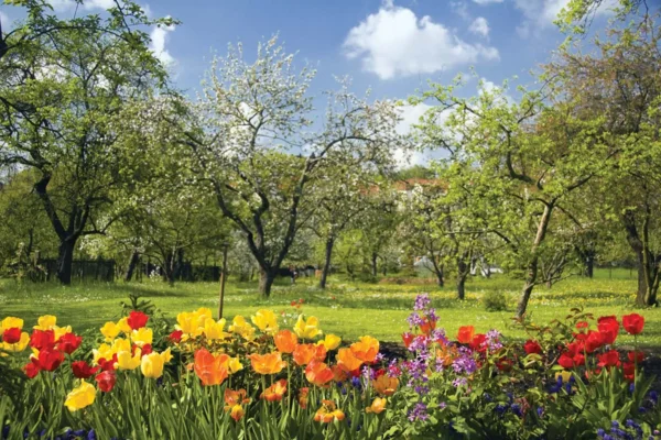 Parole della primavera in inglese - spring vocabulary