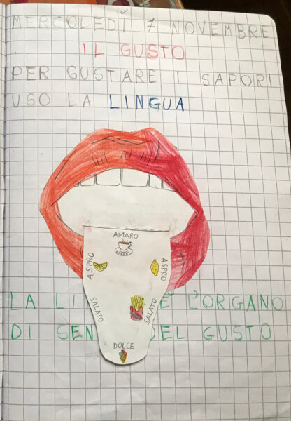 Scienze: il gusto, la lingua e i sapori (modellino da costruire)