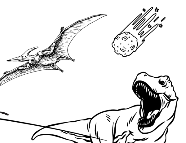 TUTTO SUI DINOSAURI PER BAMBINI