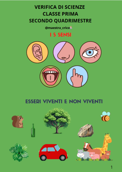 VERIFICA DI SCIENZE CLASSE PRIMA