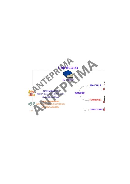 Mappa concettuale: l'articolo