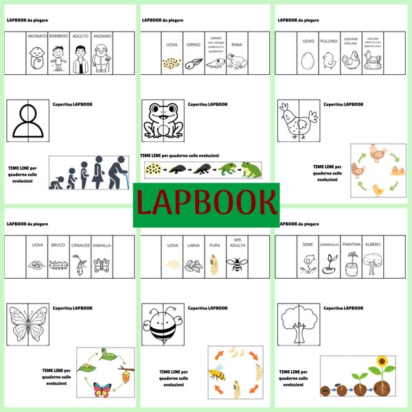 LAPBOOK scienze