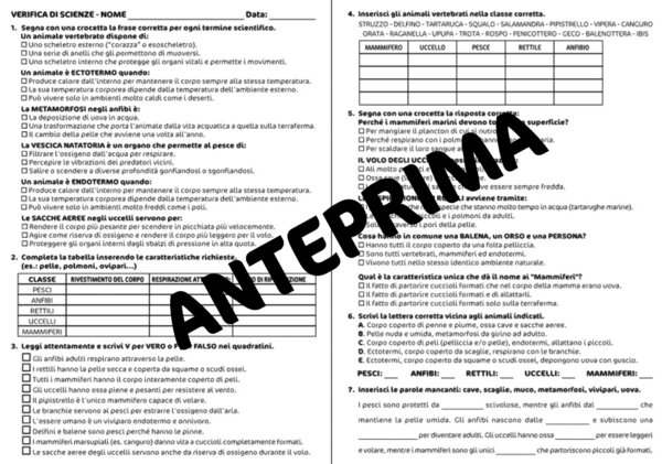 VERIFICA DI SCIENZE SUGLI ANIMALI VERTEBRATI - CLASSE QUARTA - SCUOLA PRIMARIA