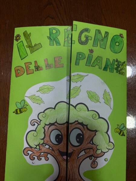 LAPBOOK “il regno delle piante”