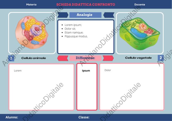 Schede didattiche per competenze: modelli Canva