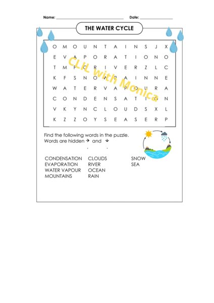 CLIL scienze classe 3 - CLIL Science Year 3 -The Water Cycle wordsearch