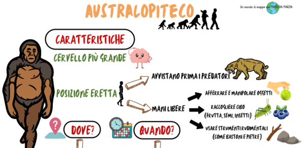 L'AUSTRALOPITECO