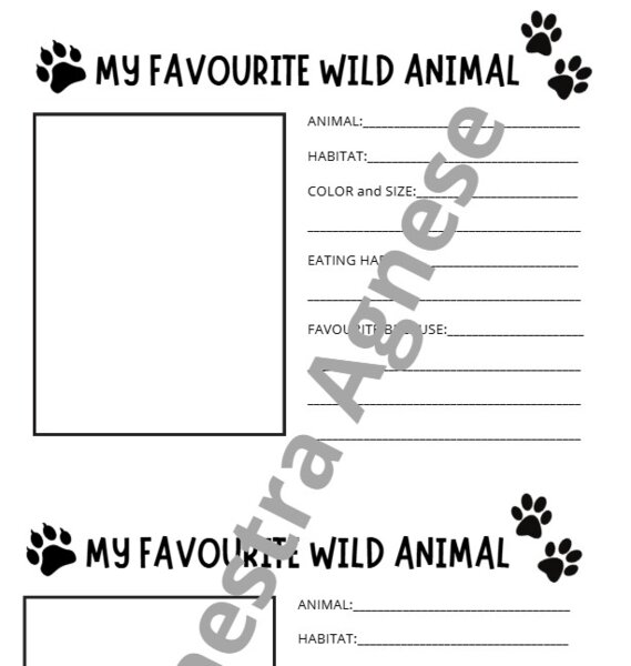 My favourite wild animal