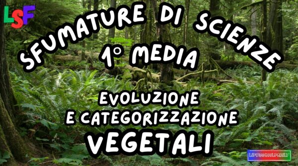 Evoluzione e Categorizzazione dei Vegetali_KIT MULTIMODALE SCIENZE 1°media_slide+ infografica+ mappa mentale+ disegno da colorare+VERIFICA LE COMPETENZE+OMAGGIO:VIDEO&PODCAST