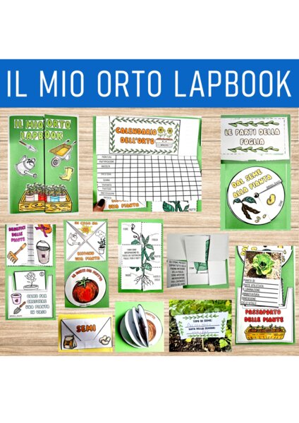 🌿 Lapbook “Il mio orto”
