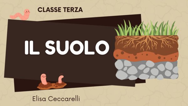 Il suolo: percorso completo con spiegazioni ed esperienze pratiche