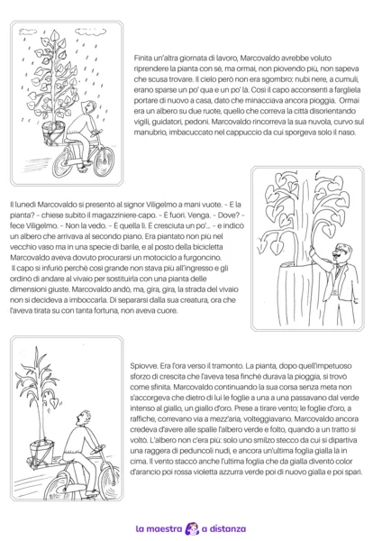 La pioggia e le foglie