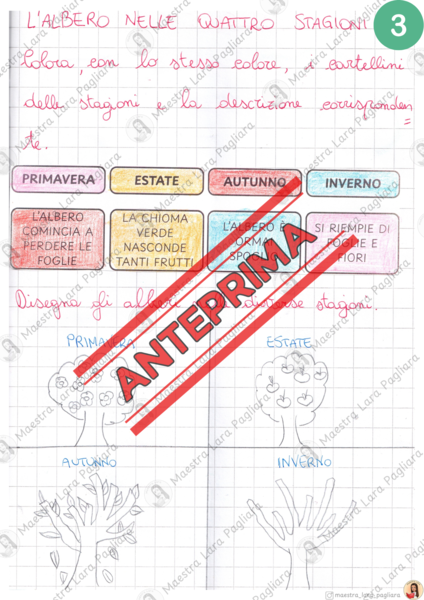 Le stagioni dell'anno - percorso completo