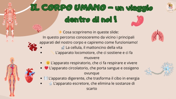 IL CORPO UMANO - Un viaggio dentro di noi!