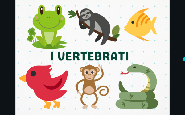 Gli animali vertebrati - presentazione ppt