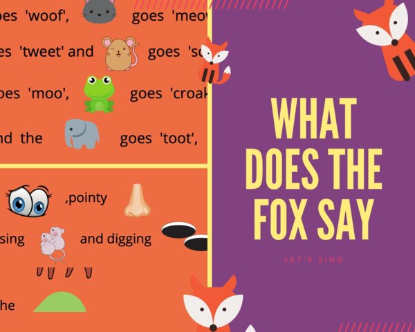 What does the fox say?