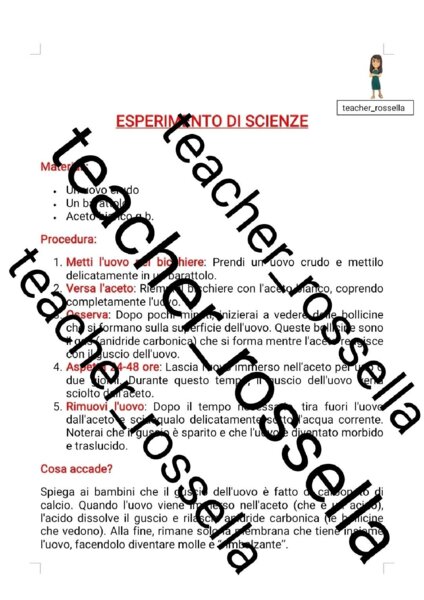 Esperimento di scienze con l'uovo