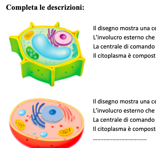 SCIENZE VERIFICA CELLULE, FUNGHI, MUFFE E LIEVITI