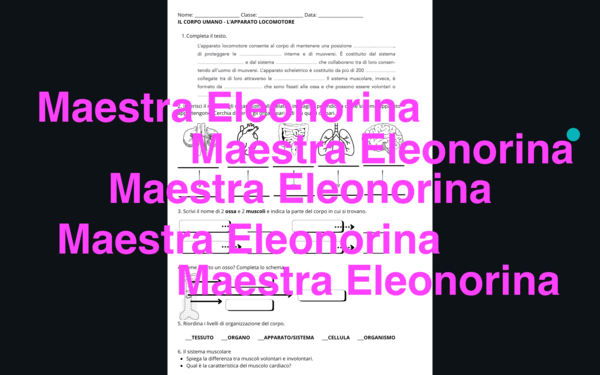 Verifica apparato locomotore