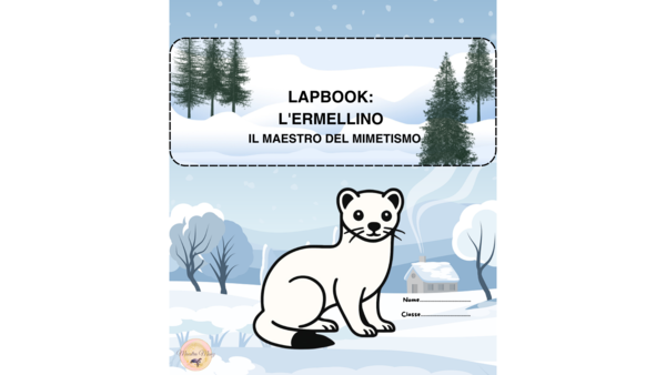 L'ERMELLINO. Il maestro del mimetismo.