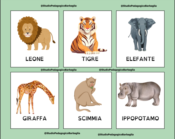 Schede lessicali – Gli animali