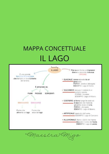 Mappa concettuale il lago