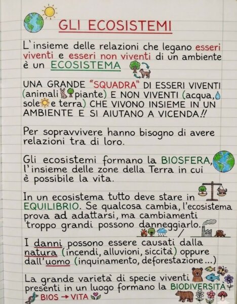 Gli ecosistemi in Scienze