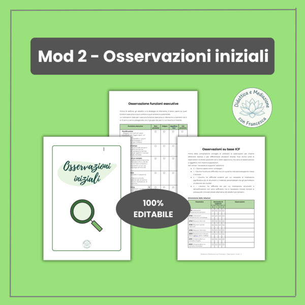 Modulo 2: Osservazioni Iniziali ICF e Funzioni Esecutive (5-12 anni) | Registro Sostegno Editabile