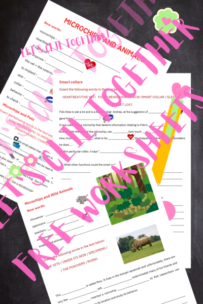 Clil - Primary School - Technology; Microchips and animals
