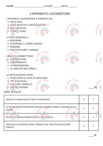 apparato locomotore prova di verifica