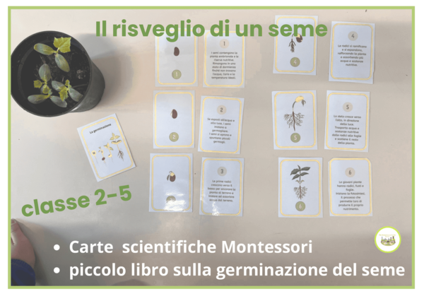 Il risveglio di un seme - Carte scientifiche Montessori e piccolo libro- classi 1-5