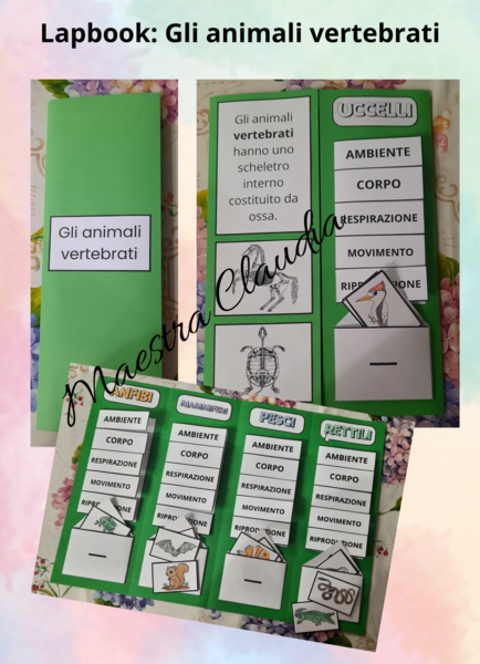 Lapbook: gli animali vertebrati