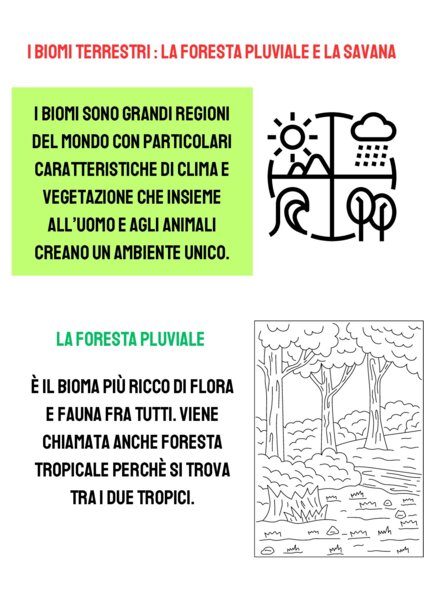 I biomi terrestri