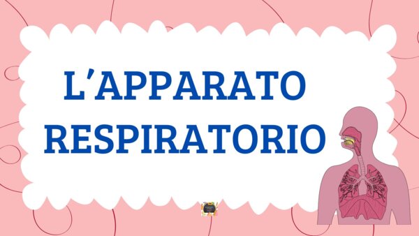 L'APPARATO RESPIRATORIO - QUADERNO DI SCIENZE CL. 5^ -