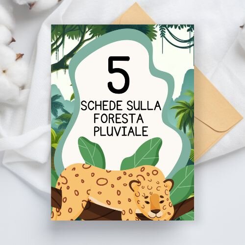 Schede didattiche sulla foresta pluviale