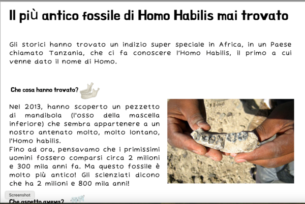 Alla scoperta di Homo Habilis