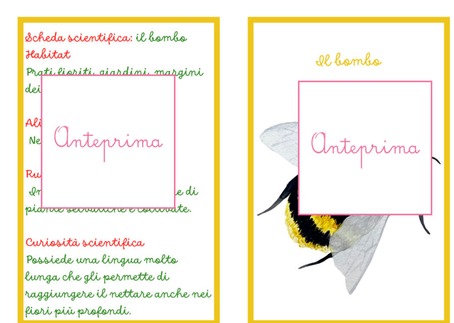 Animali della Primavera – Carte Montessori con Schede Scientifiche e Attività di Classificazione- classi 1/2 e scuola dell'infanzia