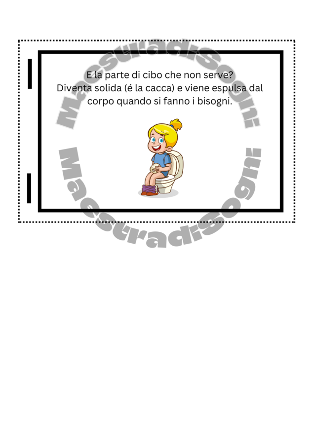 Il Sistema Digestivo - Flip Book