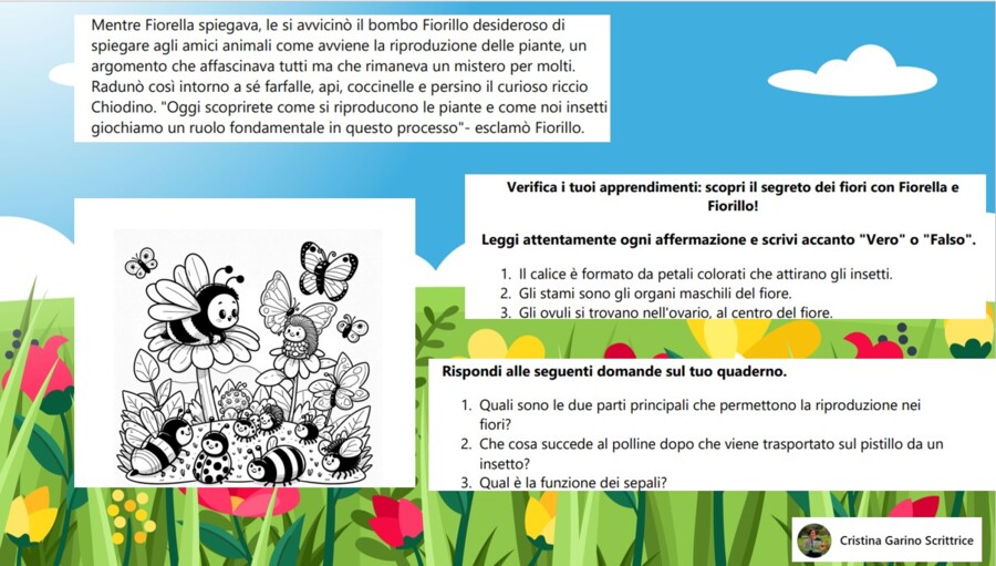 IL SEGRETO DEI FIORI IN COMPAGNIA DELL'APE FIORELLA E DEL BOMBO FIORILLO