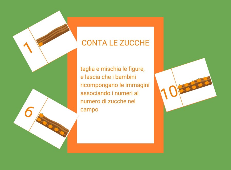 Conta le zucche nel campo