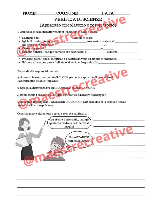 Apparato CIRCOLATORIO E RESPIRATO - VERIFICA con SOLUZIONI