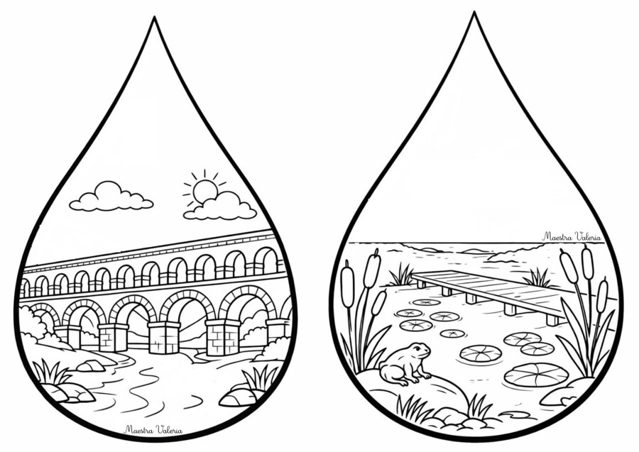 Famiglia acqua