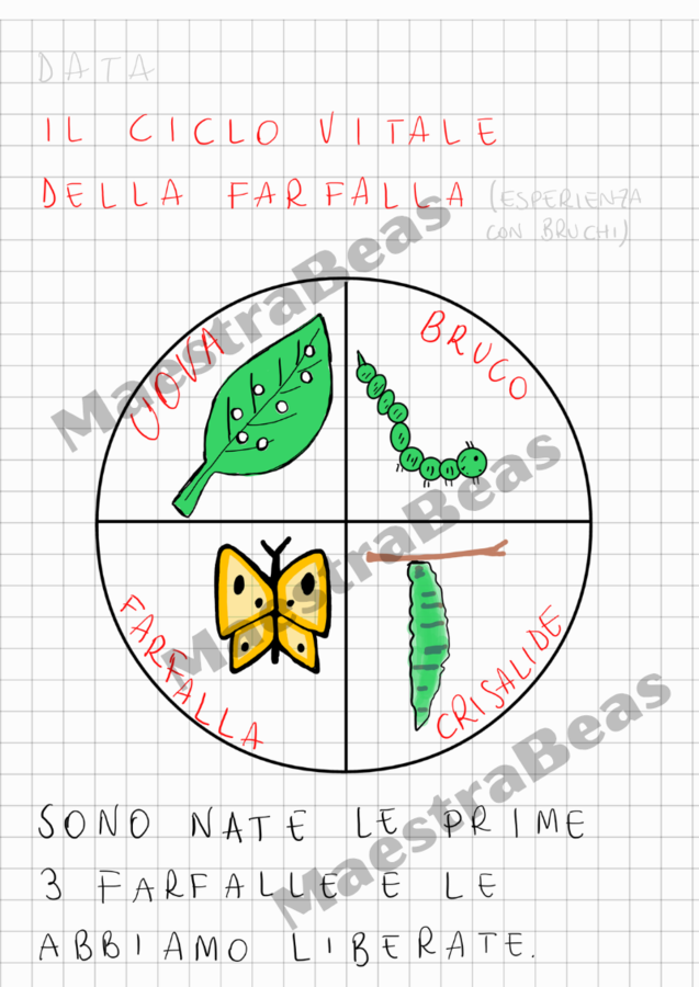Quaderno di matematica classe prima (3)