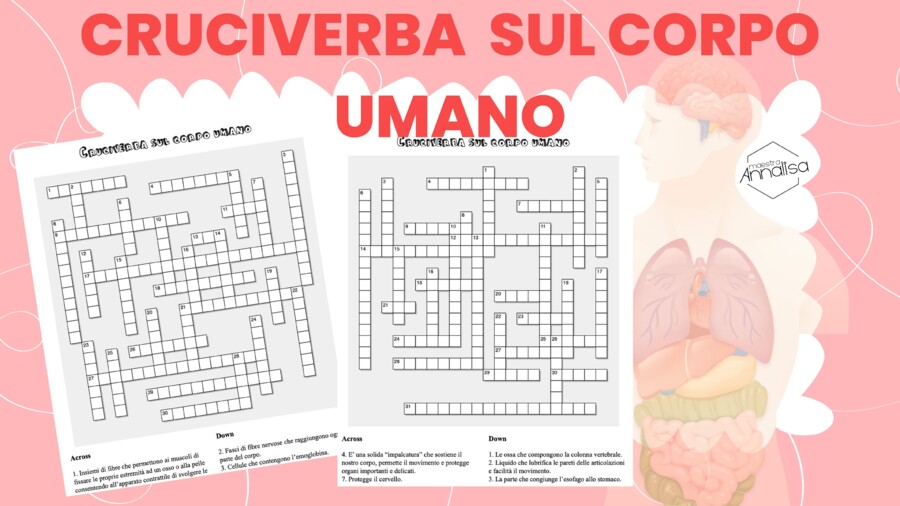 4 cruciverba sul corpo umano