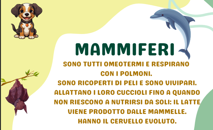 VERTEBRATI E INVERTEBRATI: MINI BOOK