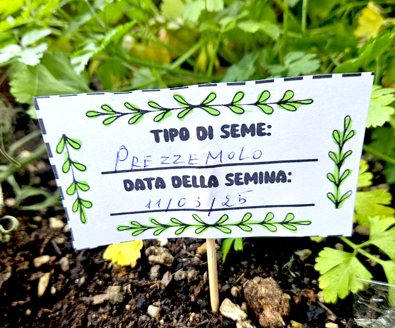 🌿 Lapbook “Il mio orto”